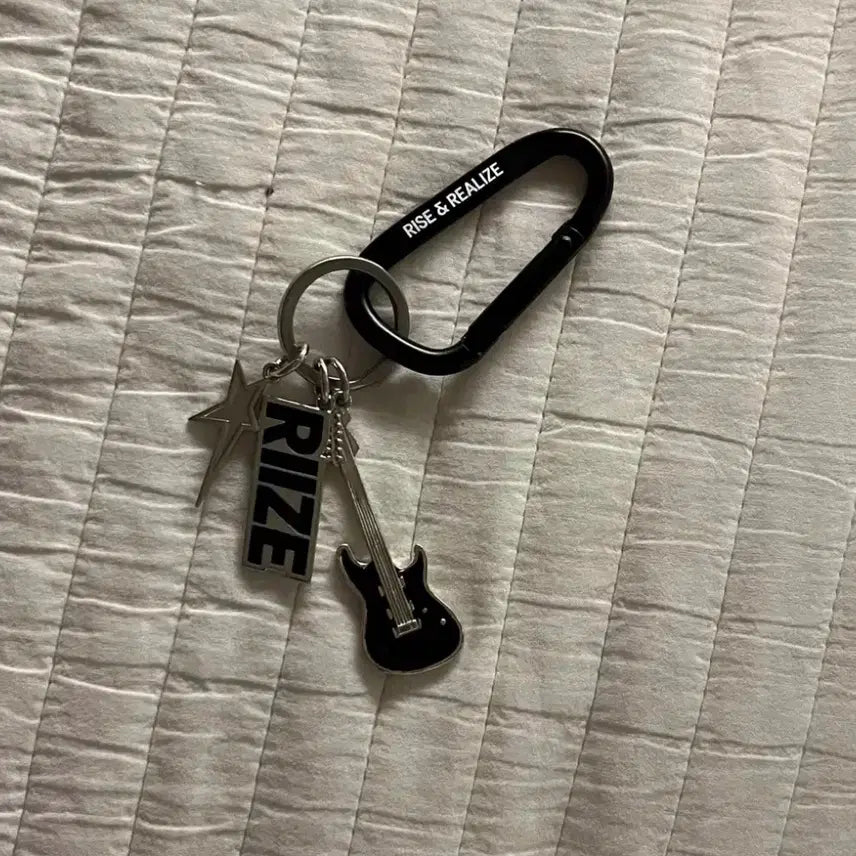 라이즈 카라비너 키링