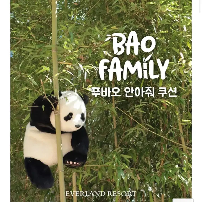 푸바오 안아줘 인형