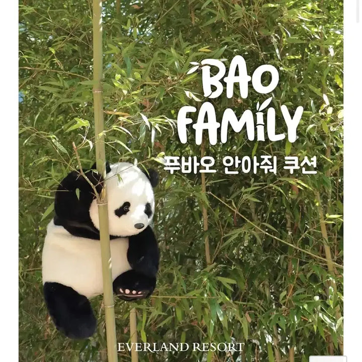 푸바오 안아줘 인형