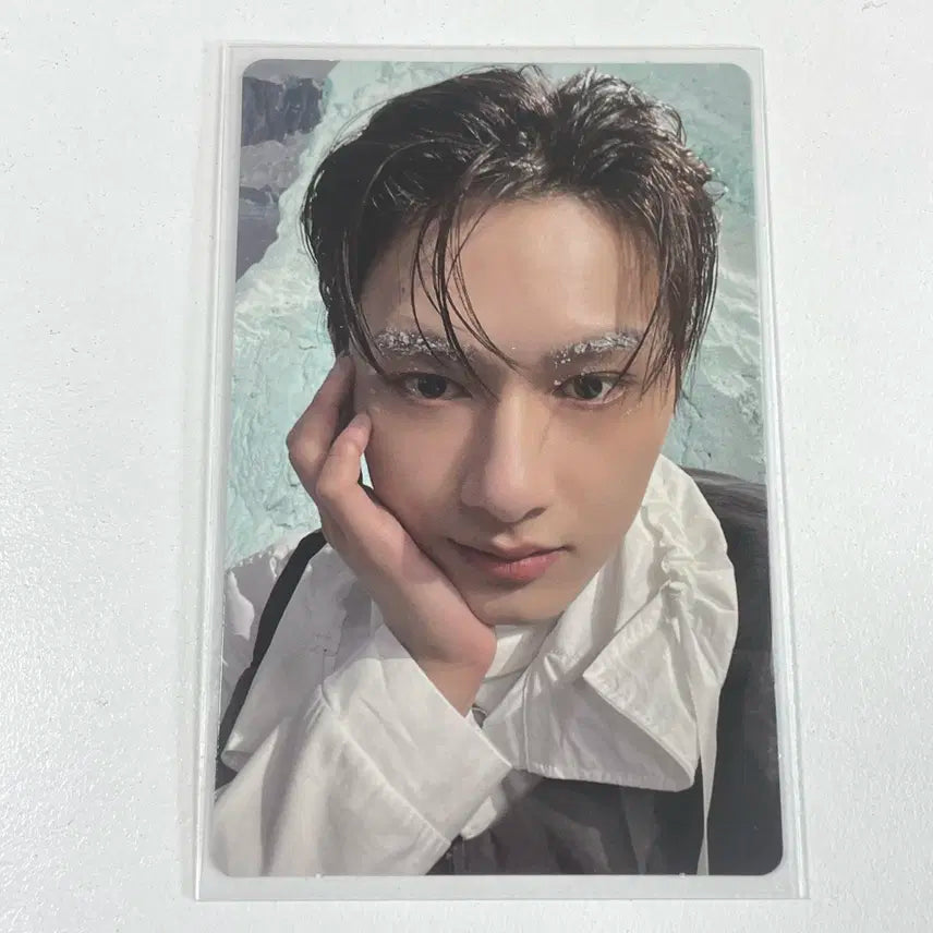 세븐틴 준 섹터17 달링 앨범 포카 포토카드