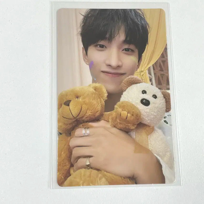 세븐틴 도겸 페더썬 핫 앨범 위버스 버전 포카 포토카드