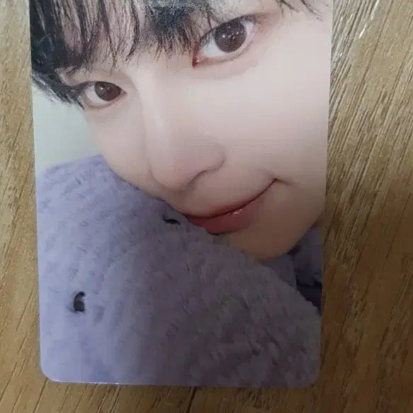 제베원 스타리버 성한빈 포카