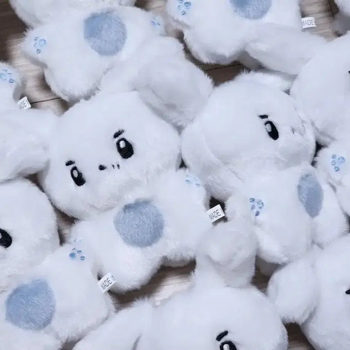 루시 신예찬 녜뭉이