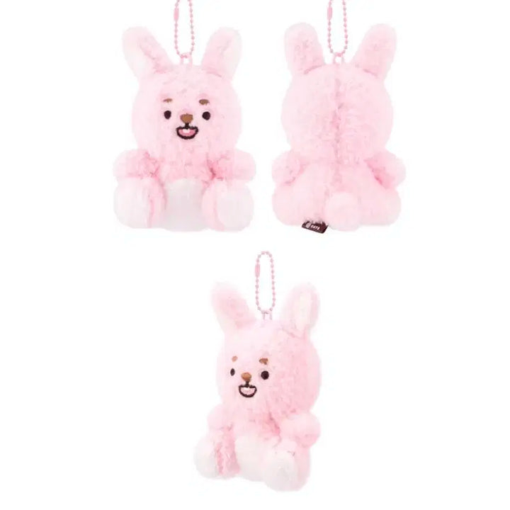 미개봉) 데이식스 앉은멀즈 필끼 앉멀 필 쁘멀 쁘띠멀즈 원필