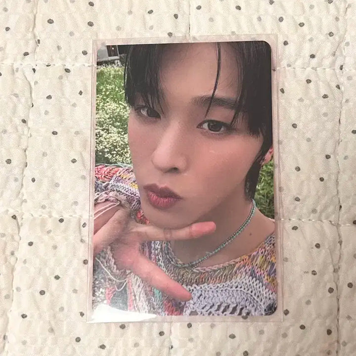 엔시티위시 컬러 포토북 앨범 리쿠 포카