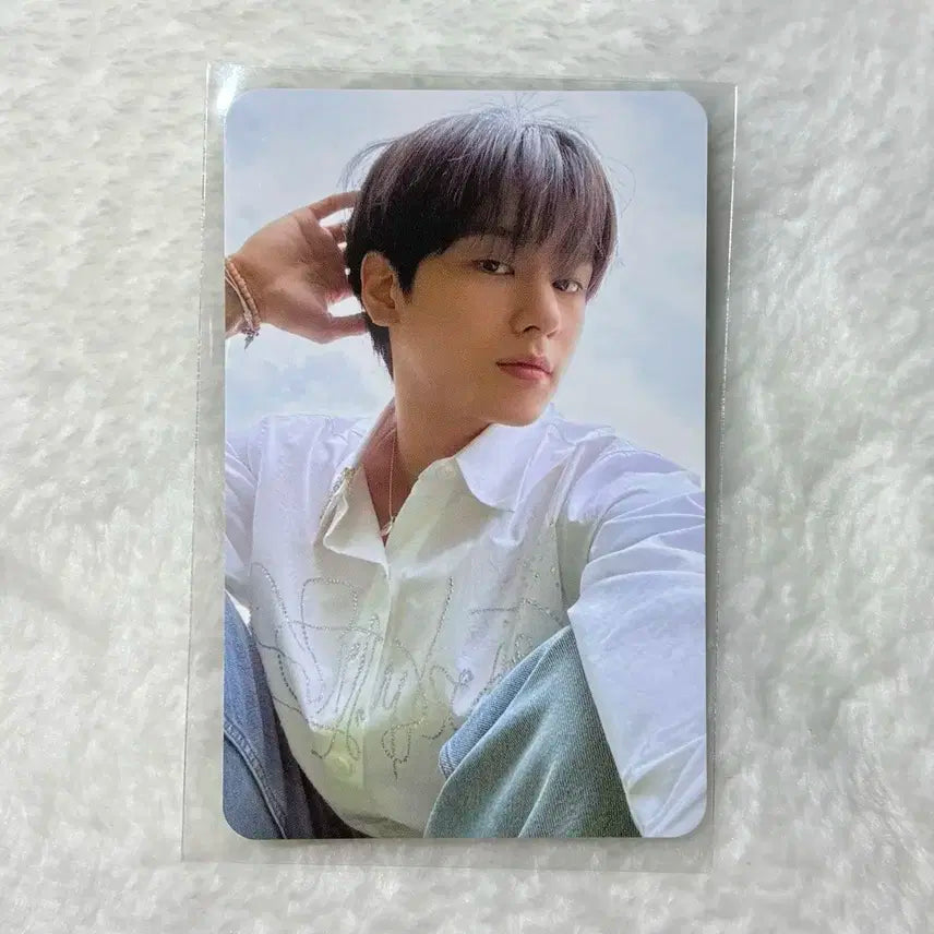 더보이즈 주연 위드뮤 쪼글 a;effect 미공포