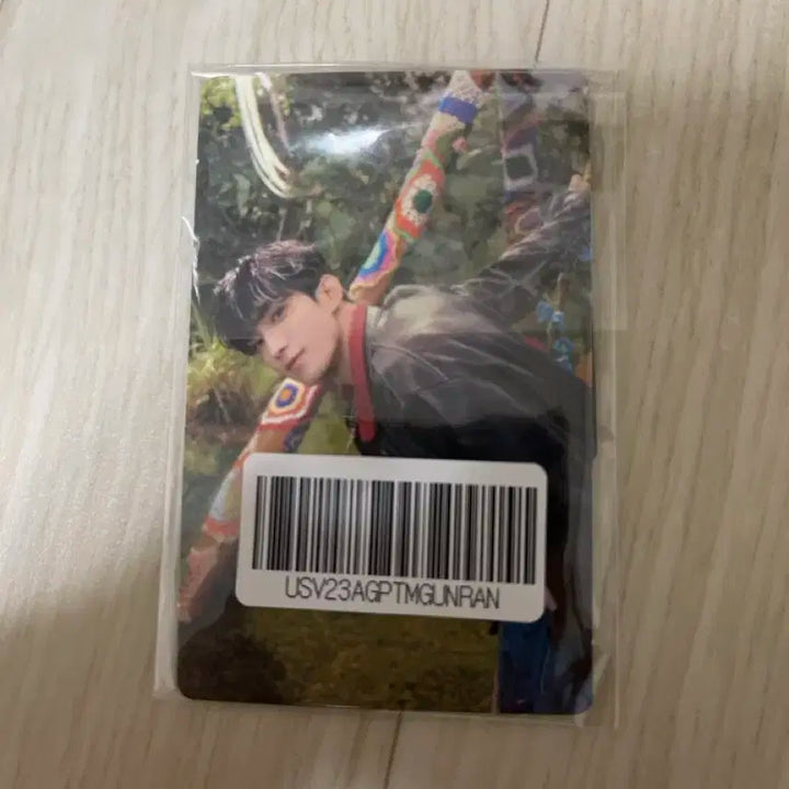 세븐틴 도겸,디노 포카+자석