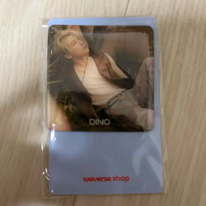 세븐틴 도겸,디노 포카+자석