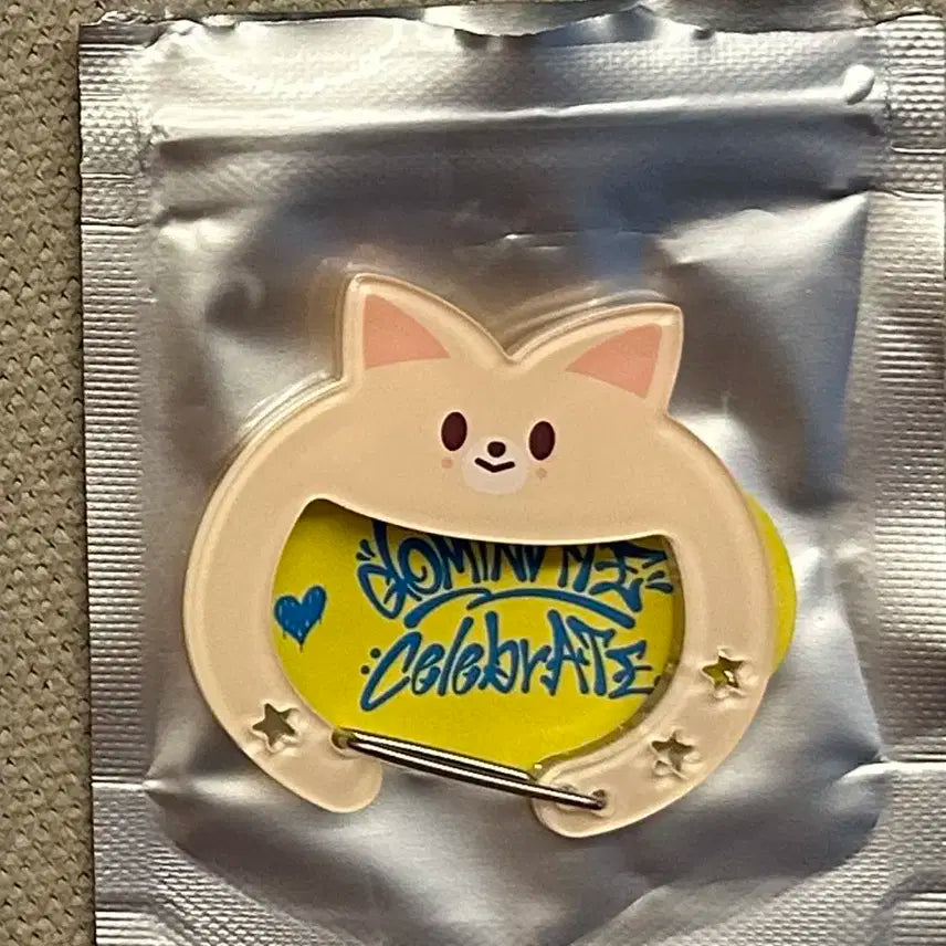 스키즈 스키주 카라비너 폭시니 아이엔 양도