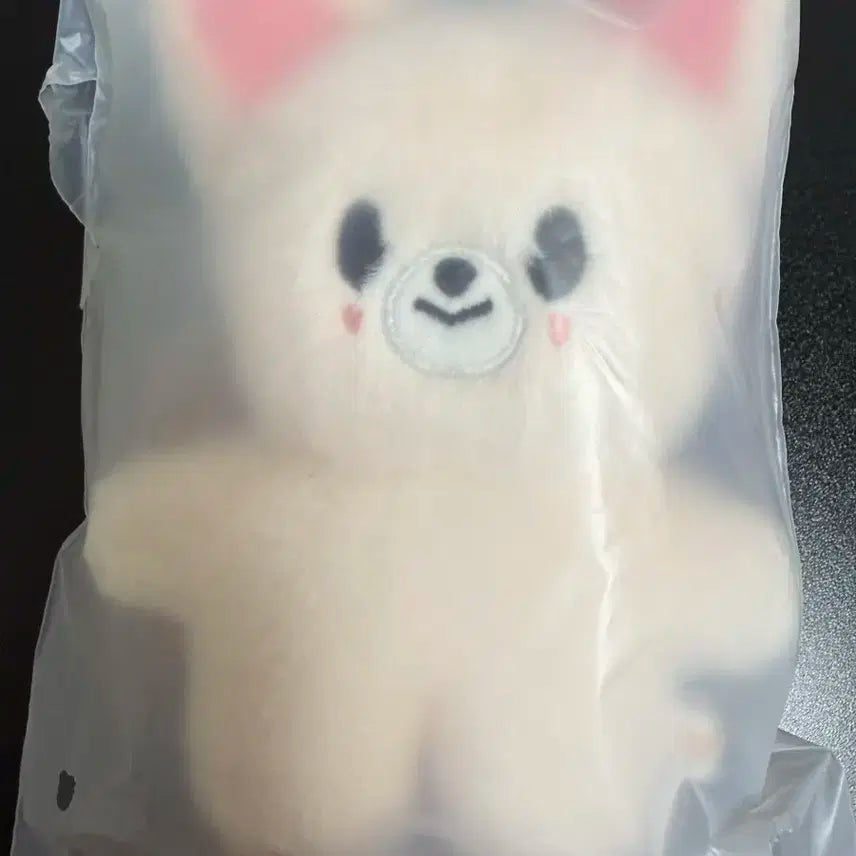 스키즈 스트레이키즈 스키주 아이엔 폭시니