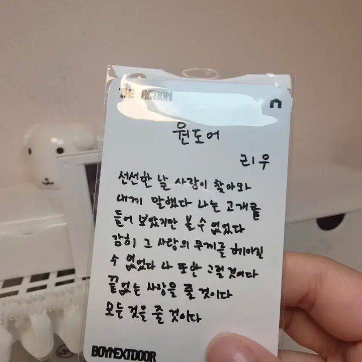 보넥도 디액션 리우 앨포