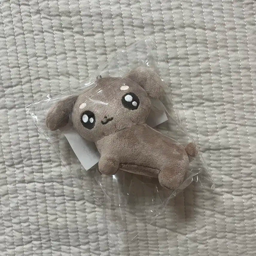 보넥도 보이넥스트도어 명재현 멍도기 인형 양도