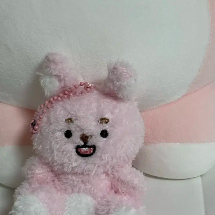 (전시)데이식스 앉은멀즈 필 양도합니다