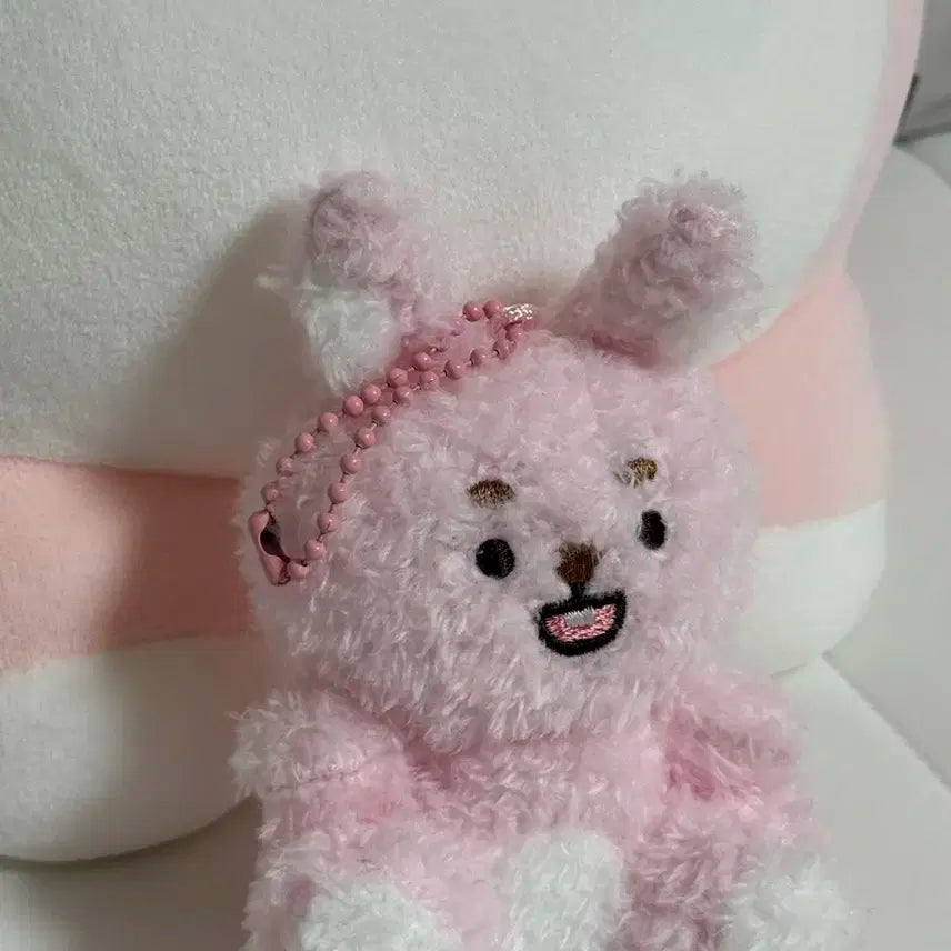 (전시)데이식스 앉은멀즈 필 양도합니다