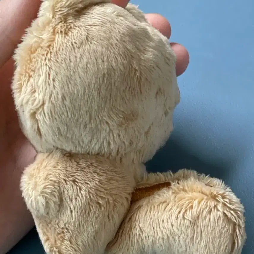 (급처) 뽀바투 뽀송텬 판매!!! 상태최상 ++범규 증사 같이드려요