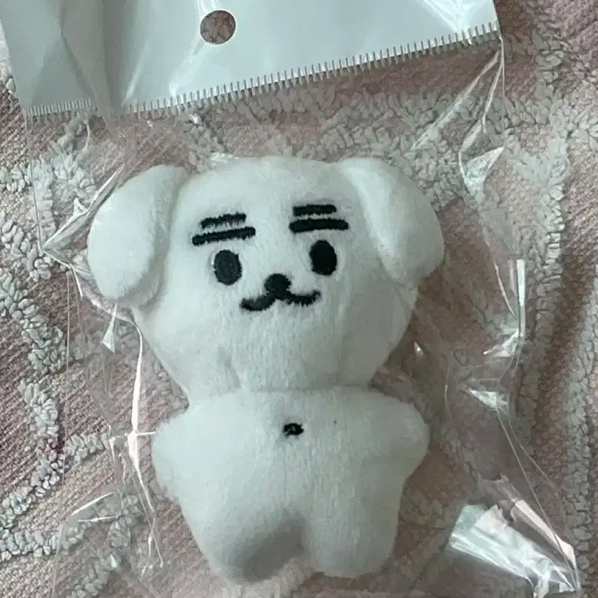 (새제품) 샤이니 종현 멈무쫑 인형 5cm