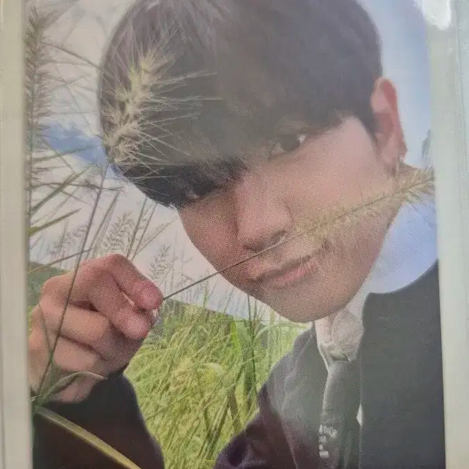 보이넥스트도 재현쇼케이스 특전 포카 판매