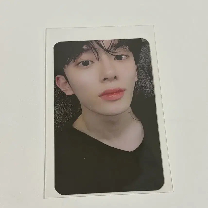 베리베리 유강민 매물없는 리치닝 포카 양도