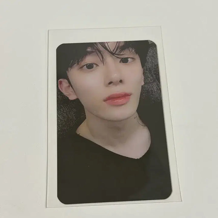 베리베리 유강민 매물없는 리치닝 포카 양도