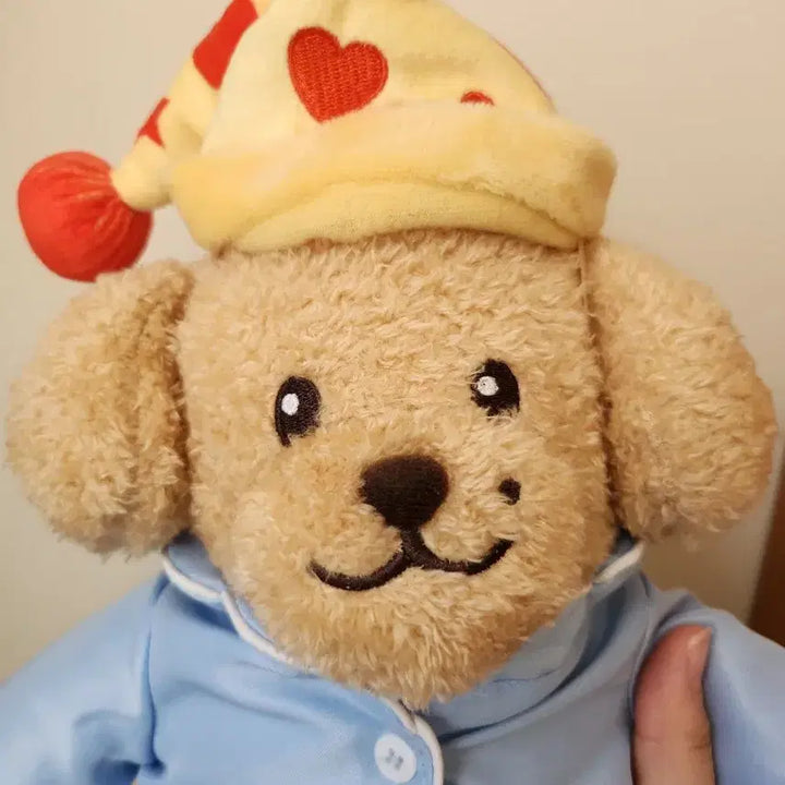 세븐틴 도아 인형