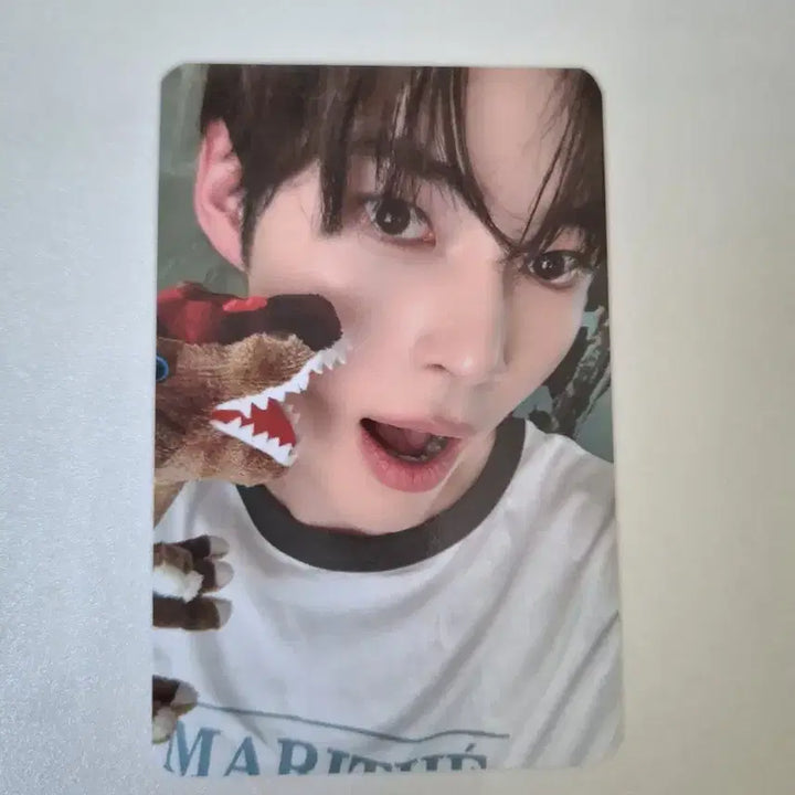 성한빈 사운드웨이브 공룡습격 미공포