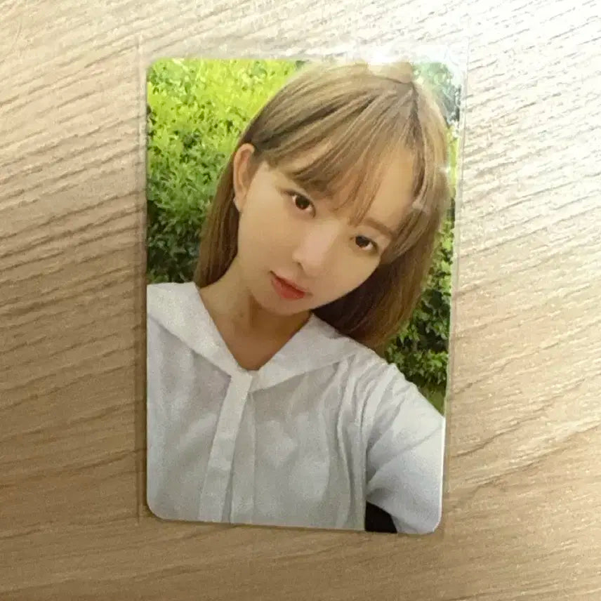 아이브 레이 애프터라이크 포카