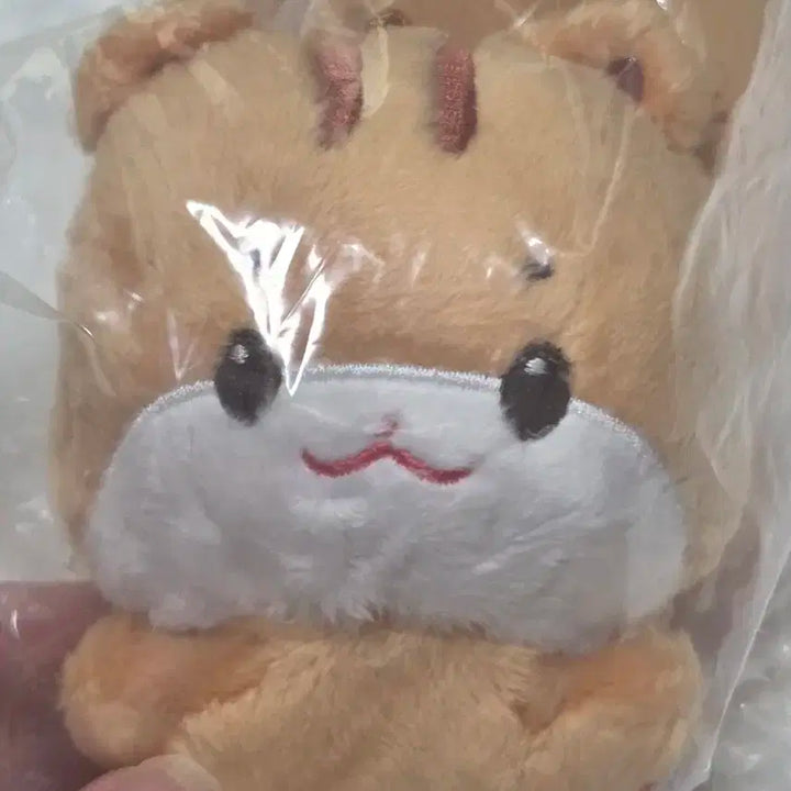 애니티즈 타이니 쭝라미 미개봉 포카O