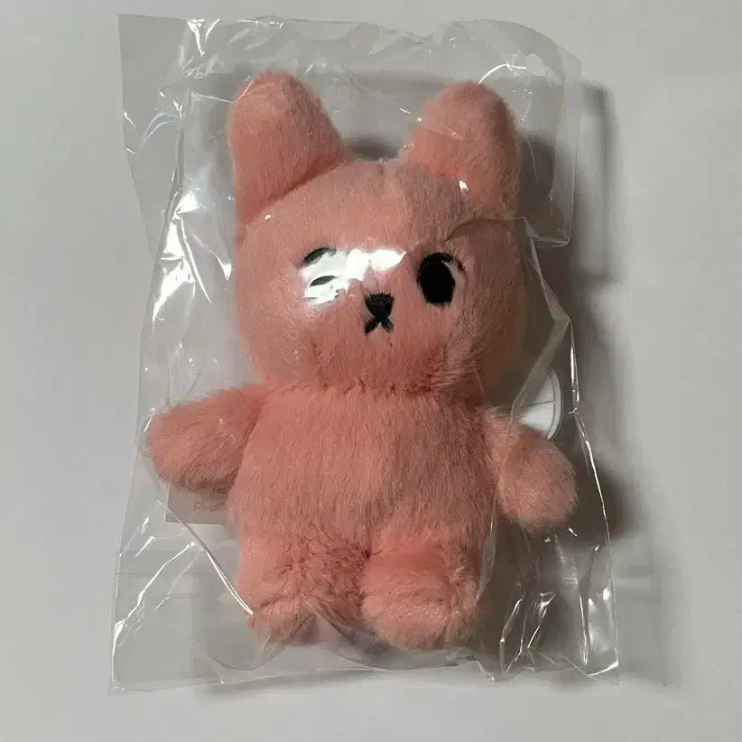 NCT 127 도영 바이오던스 팝업 토끼 인형 키링&거울