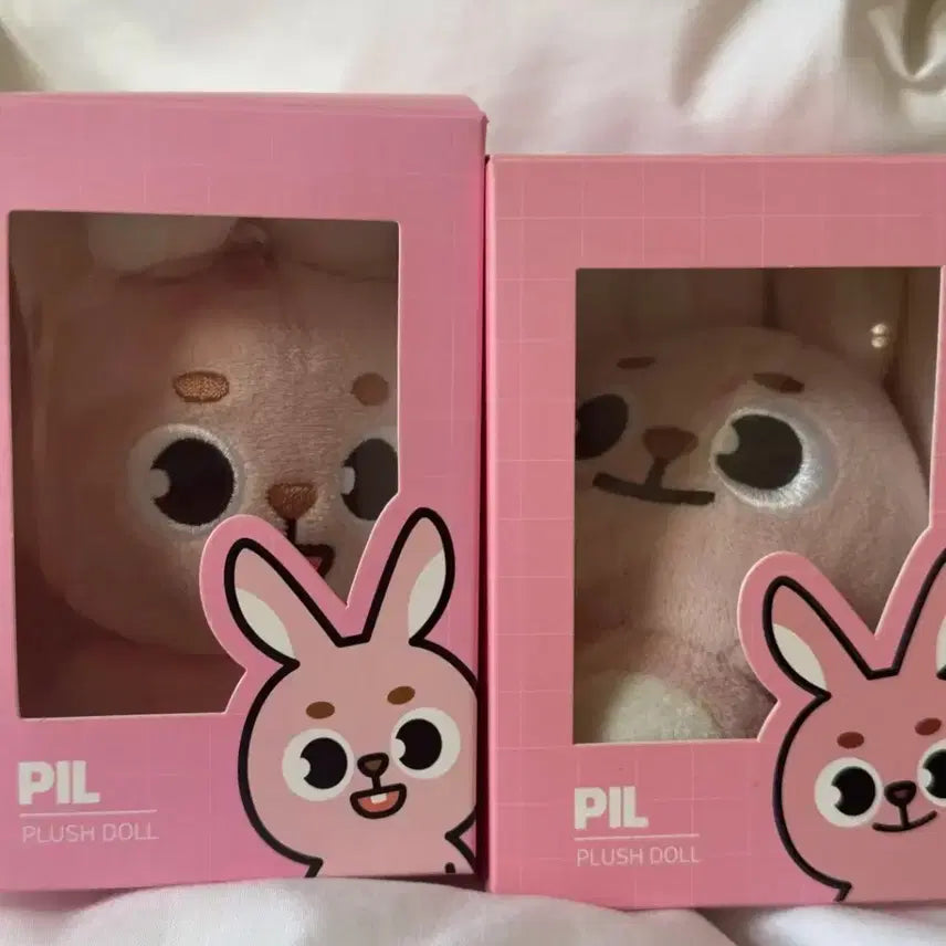 24 필끼 양도