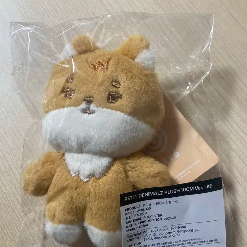 데이식스 쁘멀 케