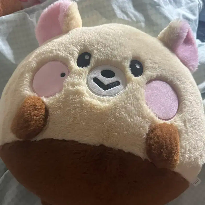 엔시티드림 드리미즈 지성 밤찌 대왕 인형 쿠션 양도