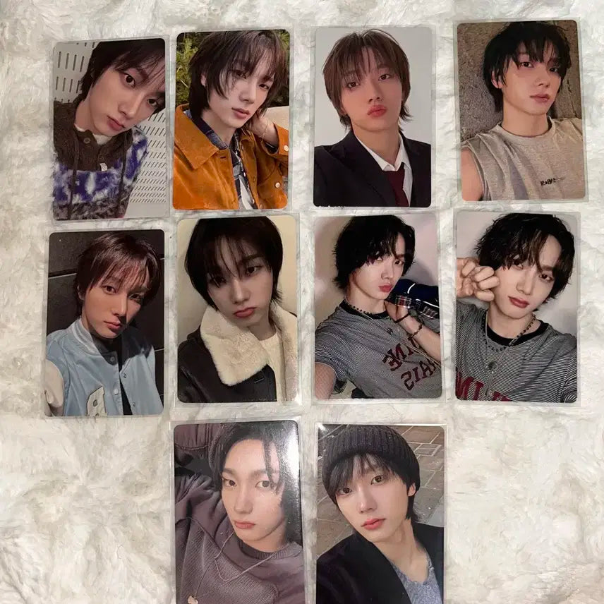 보넥도 성호 일괄