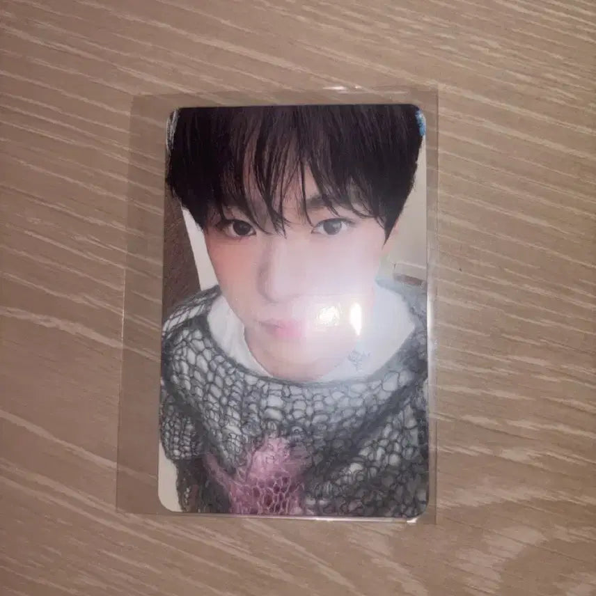 유우시 스테디 포카