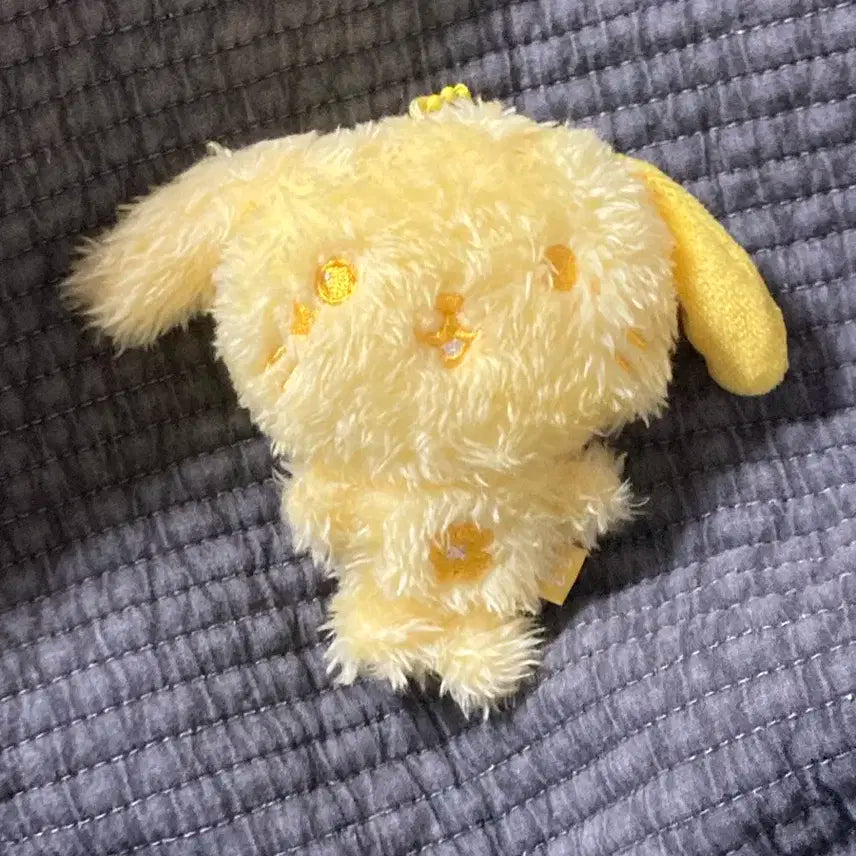 룐룐 컬러 노랑 노란색 위시돌