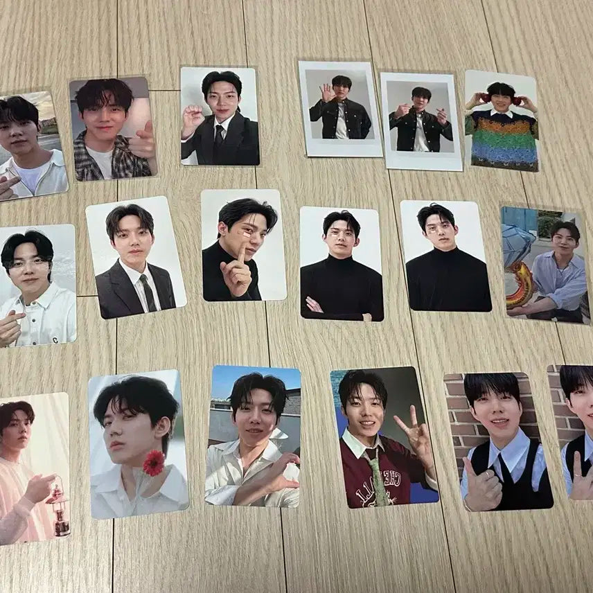 데이식스 도운 포카 일괄