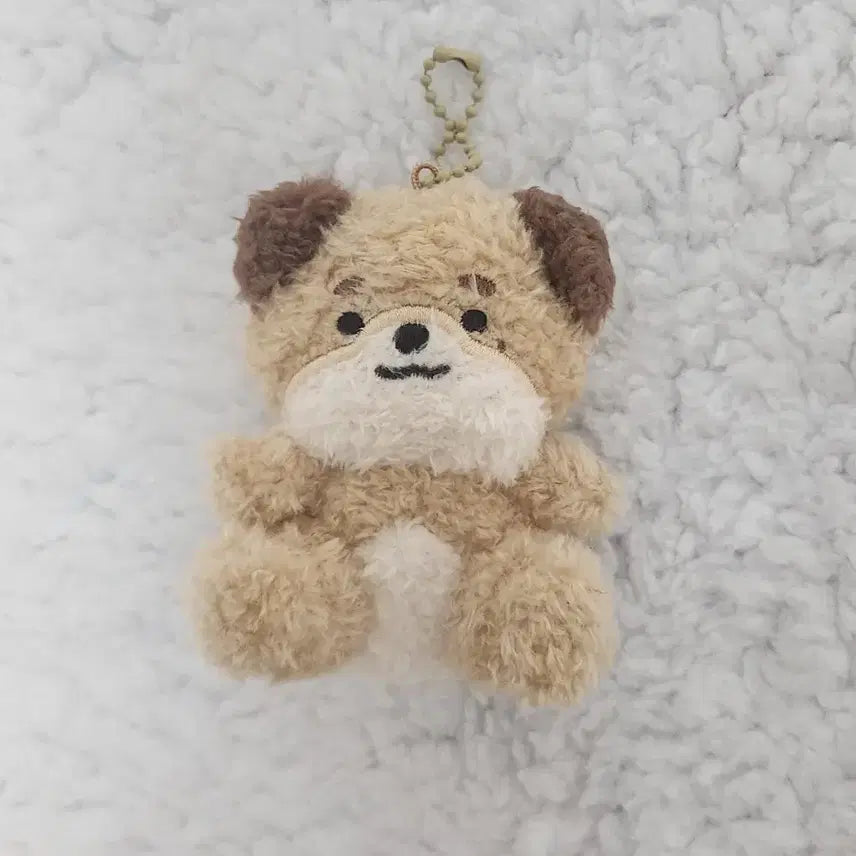 앉은멀즈 앉멀 돈 데이식스 도운 데니멀즈 쁘띠멀즈