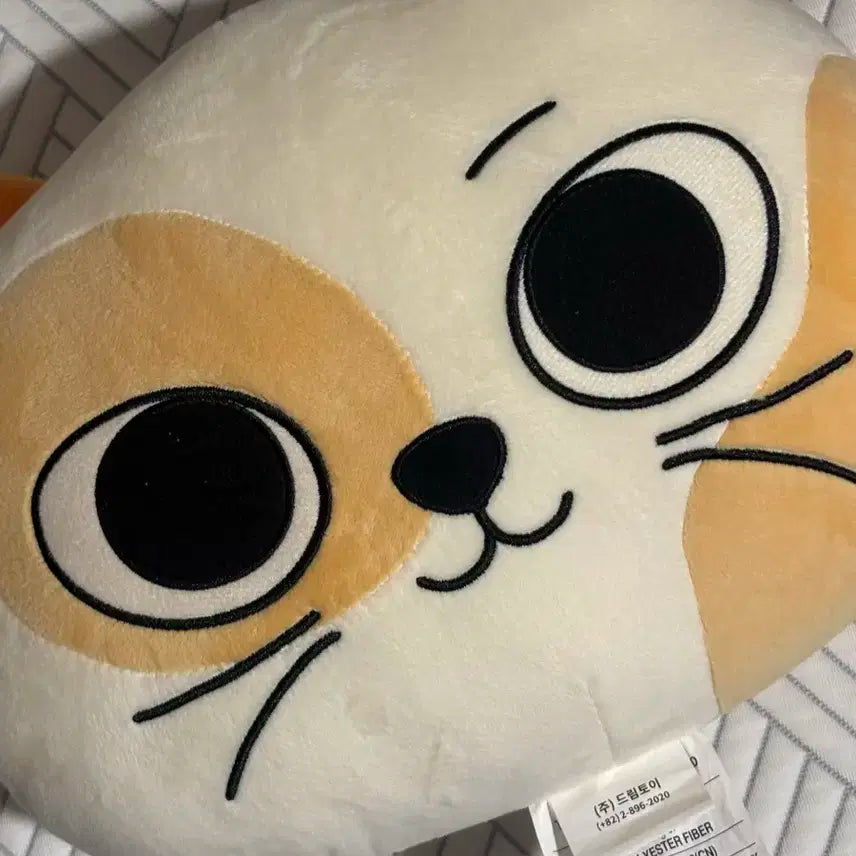 캣삐 쿠션 원가 이하 양도