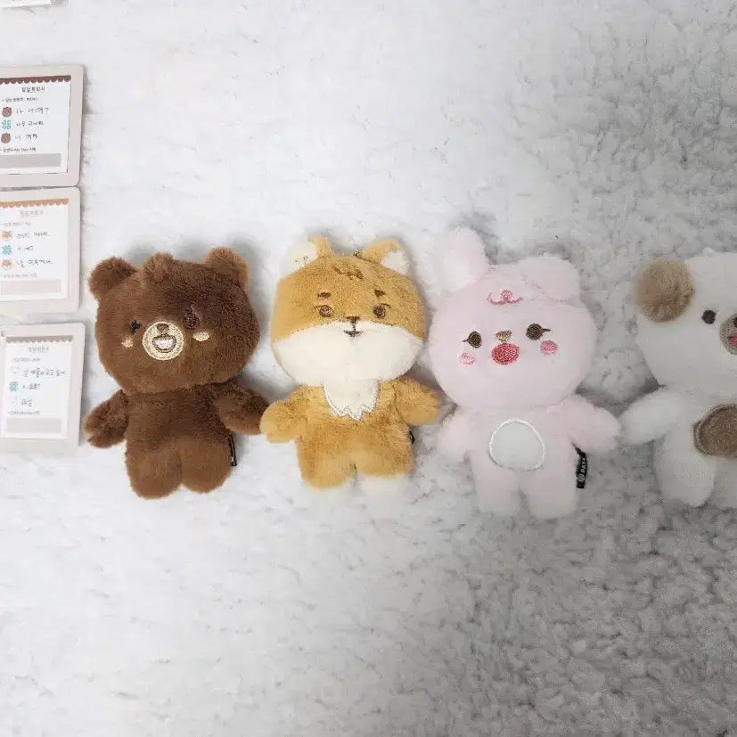 [일괄] 데이식스 쁘띠멀즈 쁘멀 방케필돈 일괄