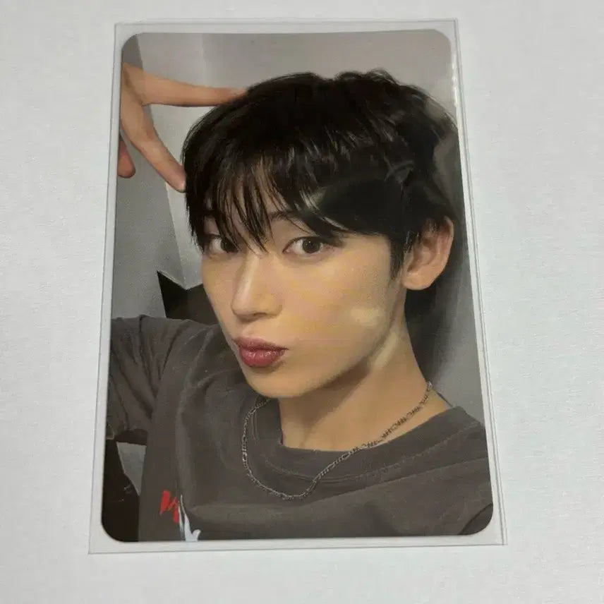 엔하이픈 walk the line 콘서트 엔진존 선우 포토카드