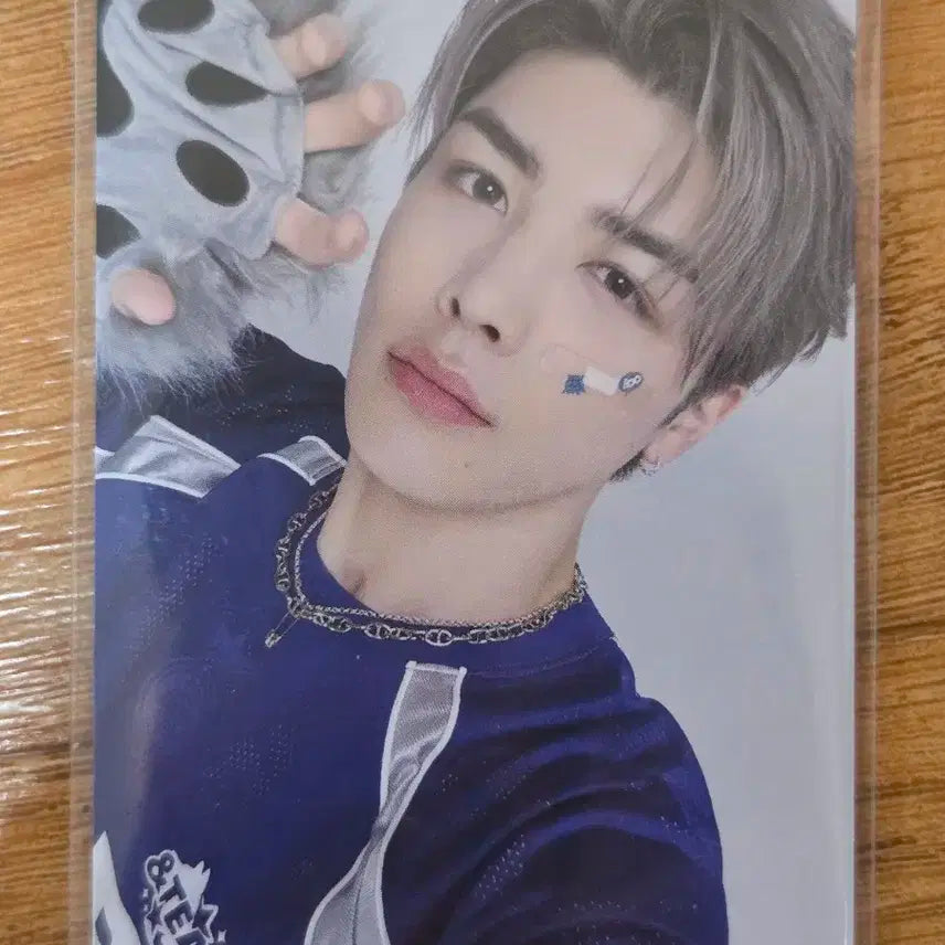 앤팀 3주년 앤데이 포카 마키