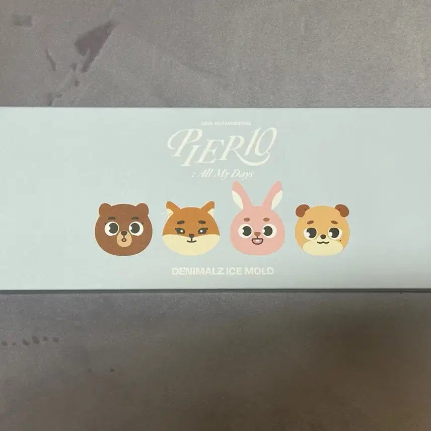 데이식스 데니멀즈 아이스 몰드 얼음틀
