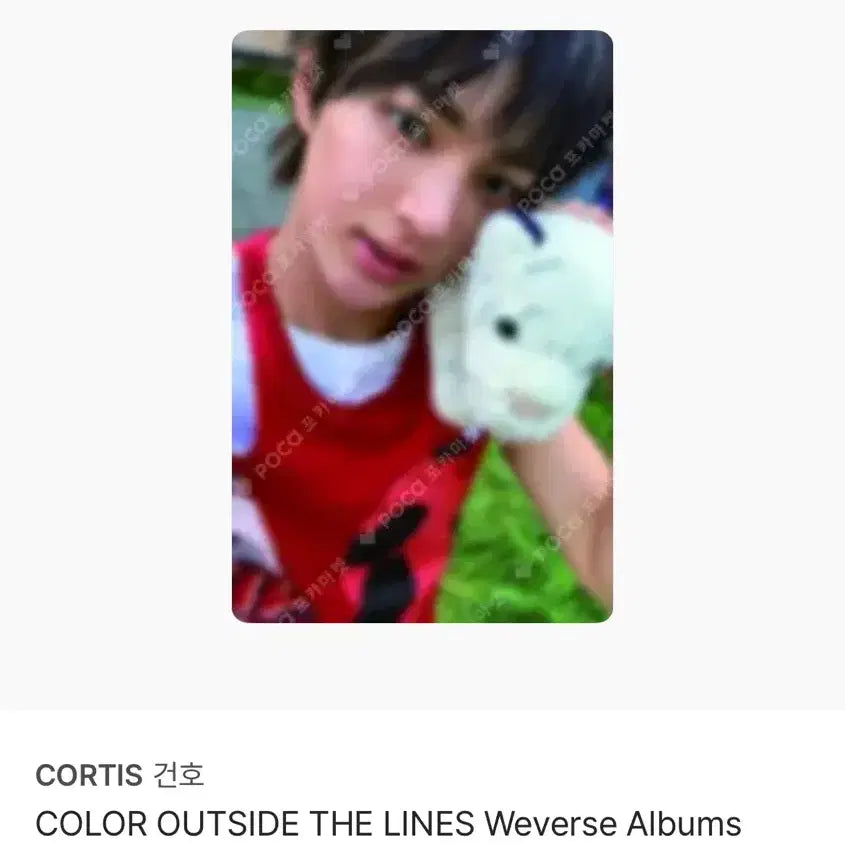 커티스 건호 Weverse Albums B 버전 무배
