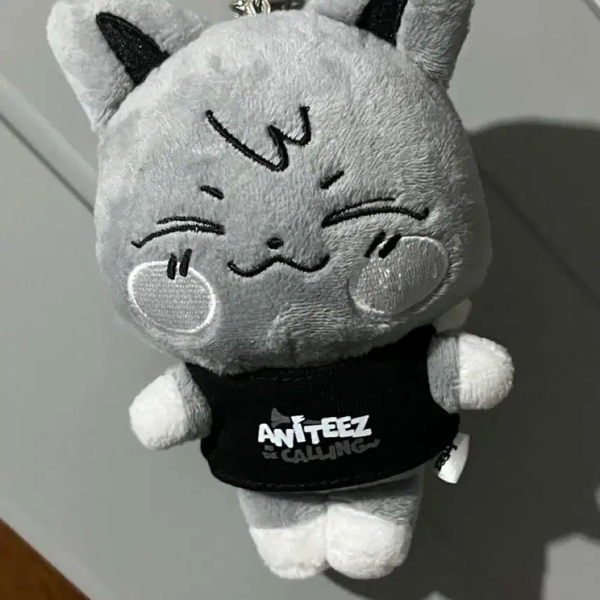 애니티즈인더콜링 시멘티즈 산덕이
