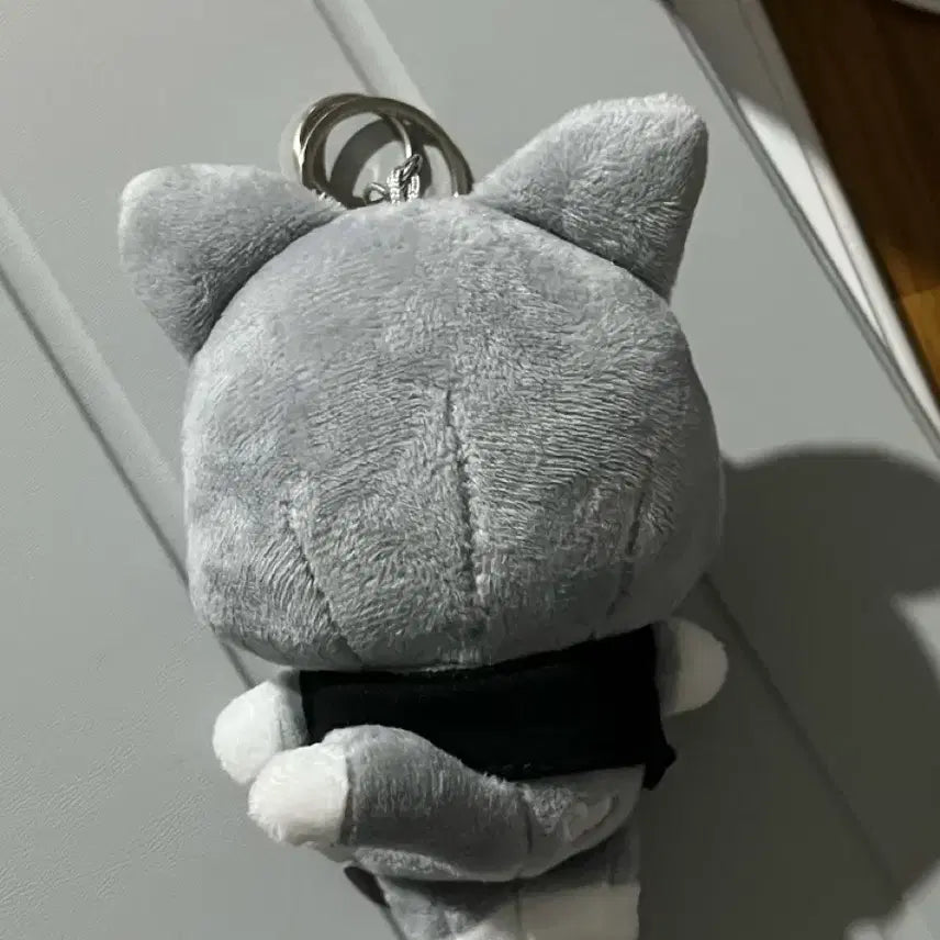 애니티즈인더콜링 시멘티즈 산덕이