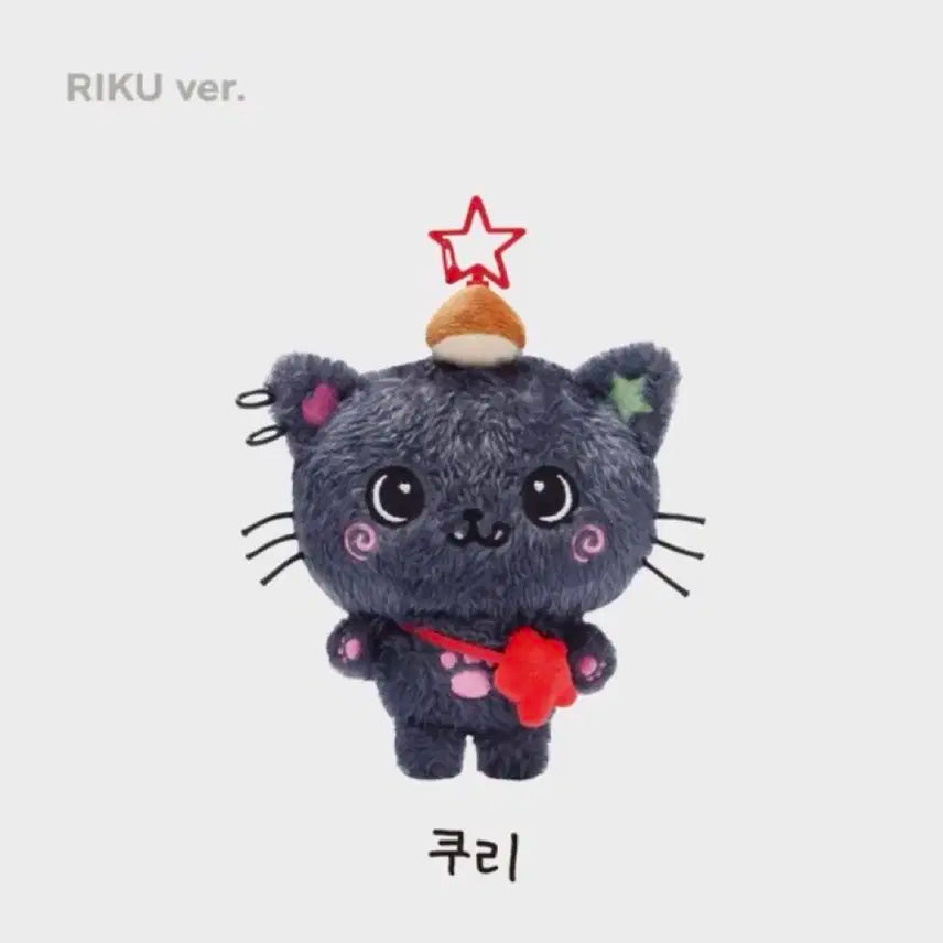 엔시티 위시 쿠리 위시돌 리쿠