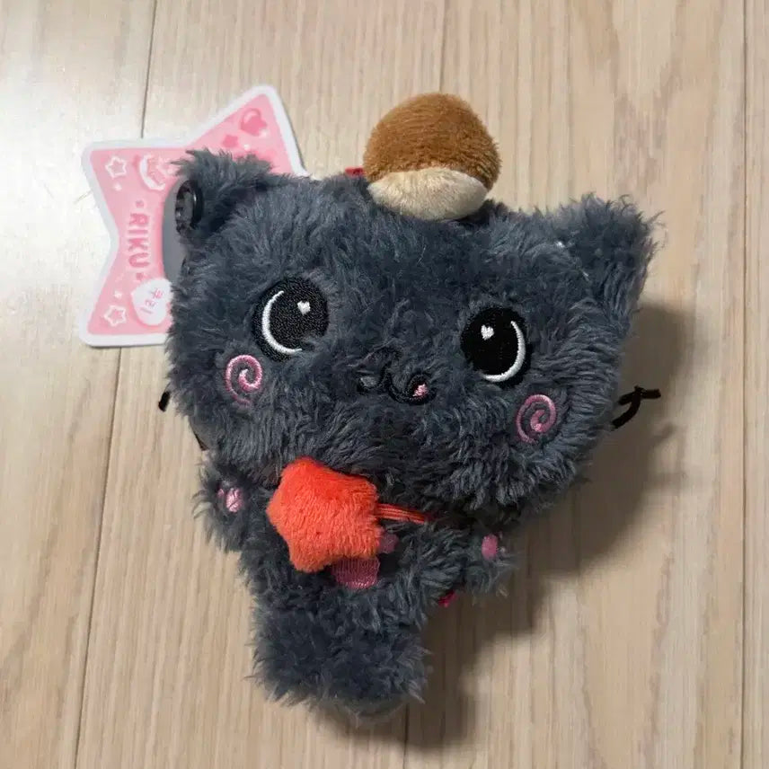 엔시티 위시 쿠리 위시돌 리쿠