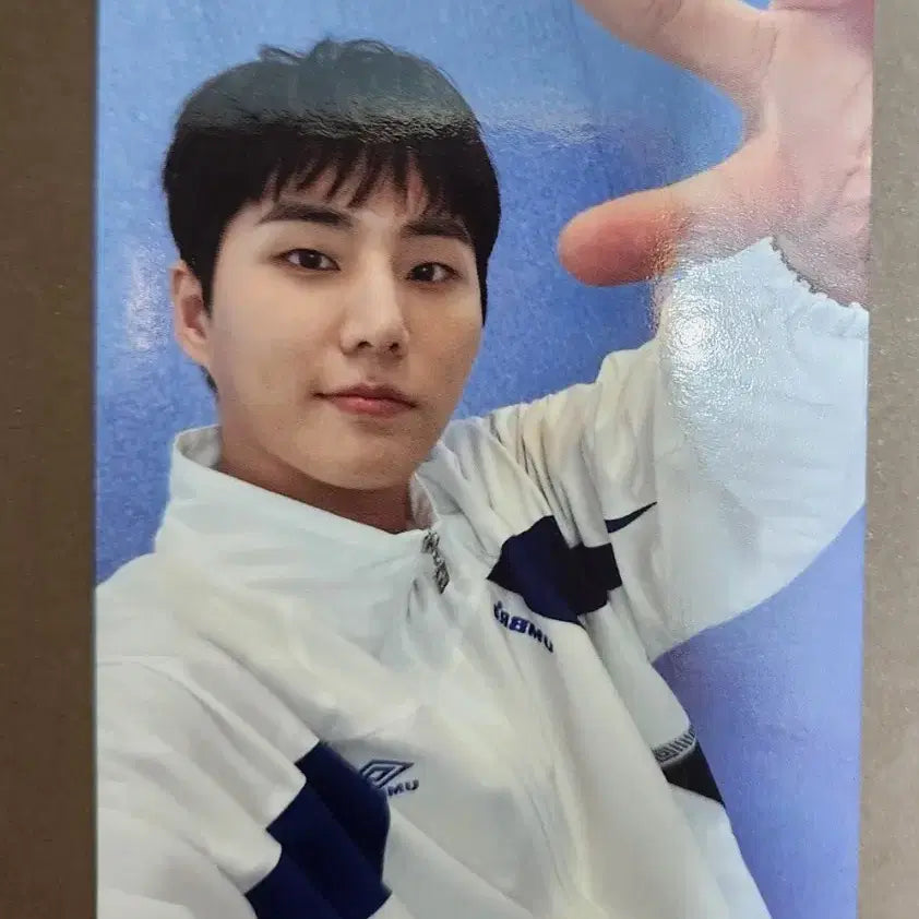 데이식스 엄브로 포카 영케이