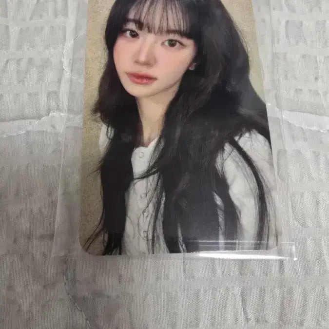 QWER 2주년 팝업 2주차 럭드 포카 쵸단