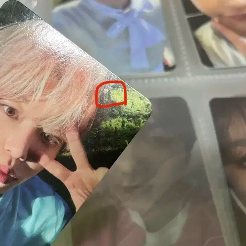 일괄)엔시티 위시 시온 리쿠 유우시 재희 료 사쿠야 포카 팝츄 일괄 양도