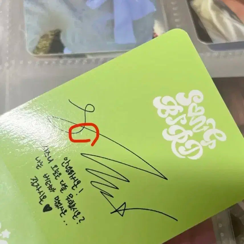 일괄)엔시티 위시 시온 리쿠 유우시 재희 료 사쿠야 포카 팝츄 일괄 양도